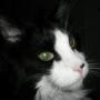 Judy Jacobs Photo 37