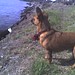Dexter Hunter Photo 16