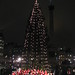 Carol Nelson Photo 17
