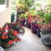 Janice Flowers Photo 19