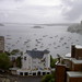 Elizabeth Potts Photo 19