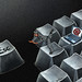 David Heine Photo 13