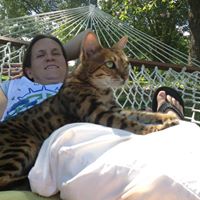 Angela Mckee Photo 38
