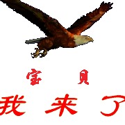 Liang Zheng Photo 13