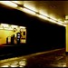 Stephen Cannon Photo 21