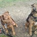 Fred Farley Photo 4