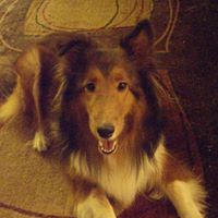 Colleen Zeno Photo 3