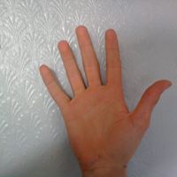 Owen Hand Photo 2