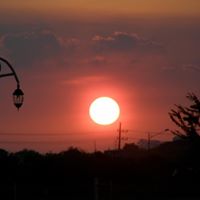 Allan Bush Photo 16