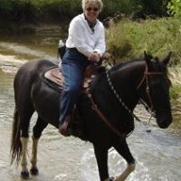 Susan Peek Photo 6