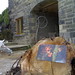 Matt Platt Photo 14