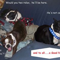 Shelly Peterson Photo 25