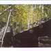 Robert Veit Photo 9