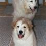 Susan Neff Photo 39