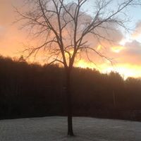 Sharon Rowe Photo 24