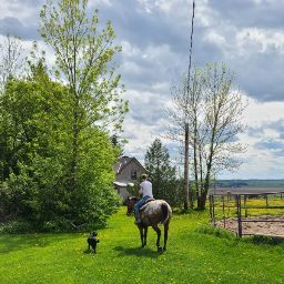 Kathy Willett Photo 33