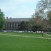 Adam Field Photo 13