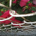 Sharon Link Photo 15