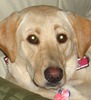 Esther Fuller Photo 5