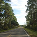 Joe Capes Photo 10