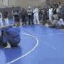 Steve Austin Photo 5