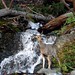 Wayne Moss Photo 11