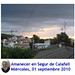 Carmen Cosme Photo 10