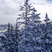 Jane Winters Photo 16
