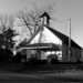 Elizabeth Polk Photo 22