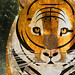 Bradford Hunter Photo 16