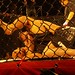 James Barrera Photo 33