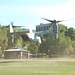 Mark Hurlburt Photo 13