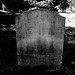 Elizabeth Hendricks Photo 19
