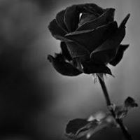 Quoc Dinh Photo 19