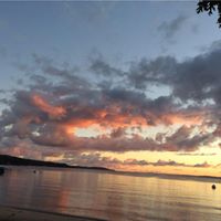 Sharon Dorman Photo 6