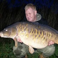 Martin Healey Photo 8