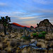 Joshua Miles Photo 13