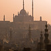 Ali Mohammed Photo 25