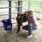 Kelly Stone Photo 16