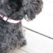 Larry Rieker Photo 3
