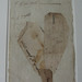Deborah Barrett Photo 24