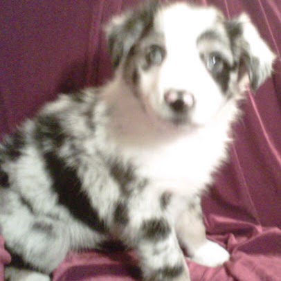 Jayne Wiley Photo 2