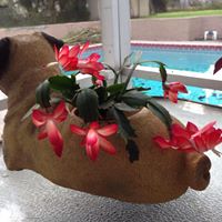 Lois Webber Photo 7