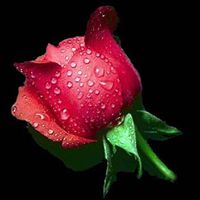 Sumit Kumar Photo 24