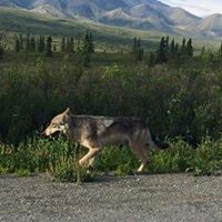 Sue Gruber Photo 28