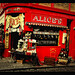 Alice Hill Photo 9