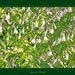 Janice Flowers Photo 13