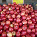 Barbara Apple Photo 12