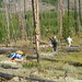Susan Schuette Photo 14