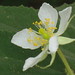 Theodore White Photo 32